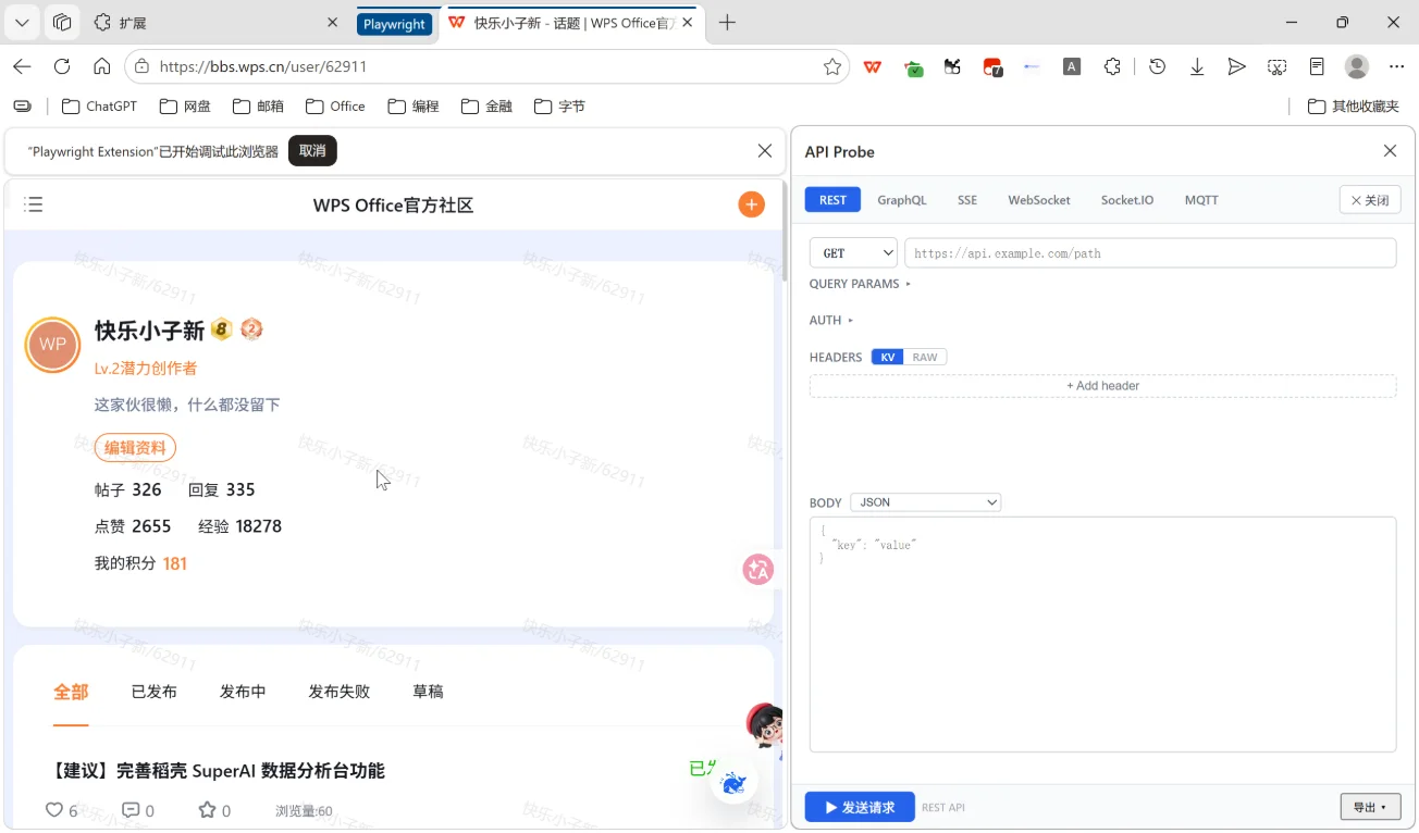 API Probe:网页API请求录制探测浏览器插件 截图 3