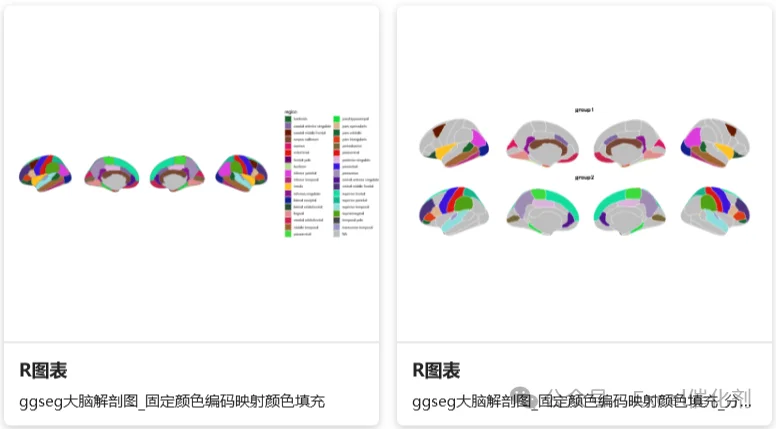 内容插图