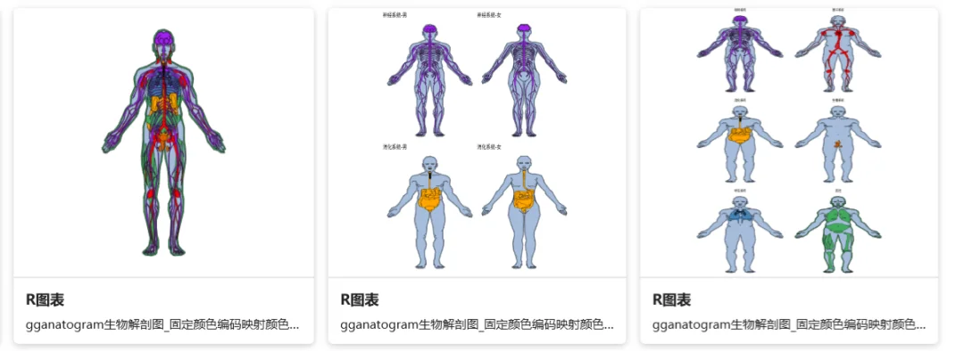 公众号文章插图